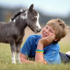 The smaller than average miniature horse, Melbourne, Australia - 13 Nov 2008