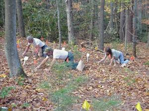 Cover photo for Fall Is a Good Time to Plant Many Perennial Herbs