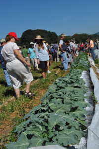 Cover photo for Horticulture Industry and NC State: A Partnership That Works!