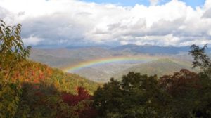Cover photo for Why Is Jeanine Davis at NC State University Interested in Biodynamic Agriculture?