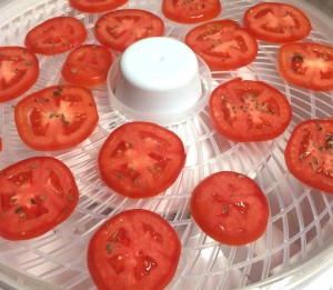 Cover photo for Have You Tried Drying Foods?