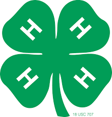 4-H clover logo