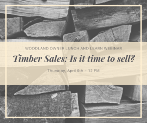 Photo "Timber Sales is it time to Sell?"