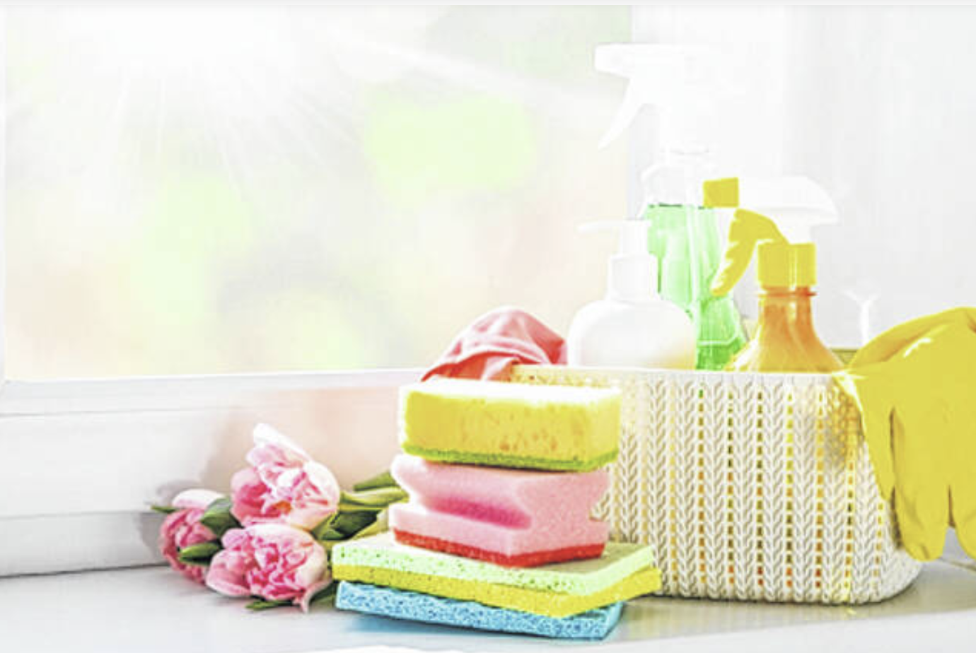 Sponge and cleansers