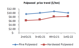 Cover photo for Pine Sawtimber Markets Continued to Improve in North Carolina