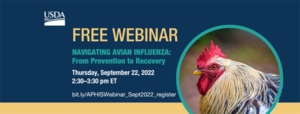 Flyer with rooster photo and Avian Influenza webinar information