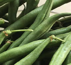 fresh green beans showing fresh stems