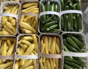 Yellow and zucchini squash in 1 gallon baskets.