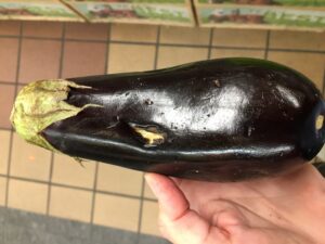 eggplant with injury