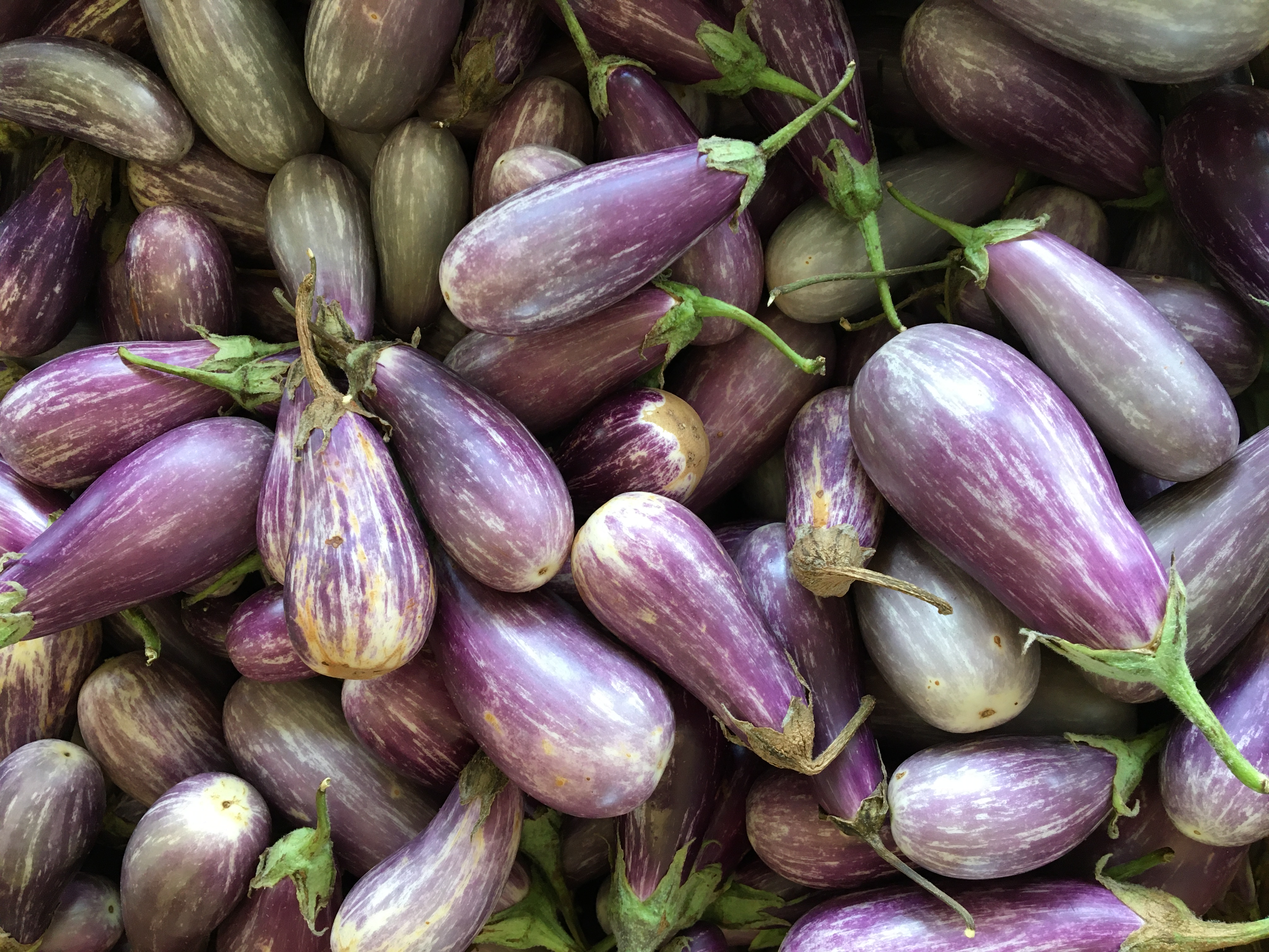 Peaches and Eggplants with pastel purple