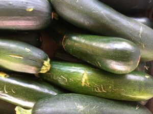 Zucchini showing scarring on rind. 