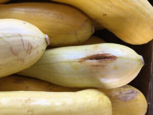Yellow squash showing physical damage to rind.