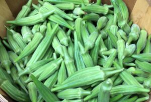 Bright green okra