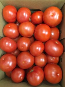A box of red slicer tomatoes