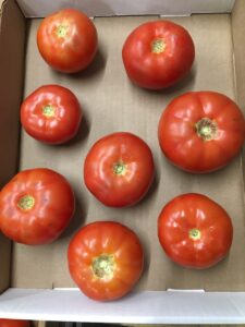 Tops of red tomatoes are smooth, consistent color.