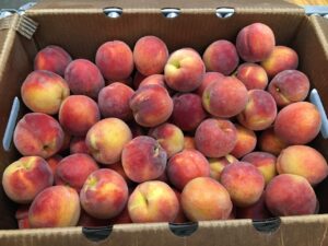 Half bushel box of peaches