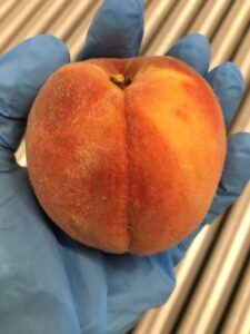 A ripe peach 