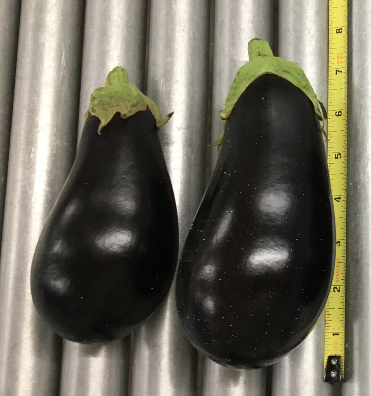 Still life with two peaches and eggplant