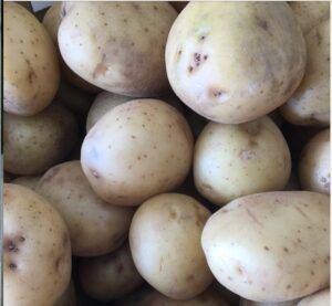 A pile of white potatoes.