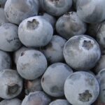 Upclose shot of blueberries