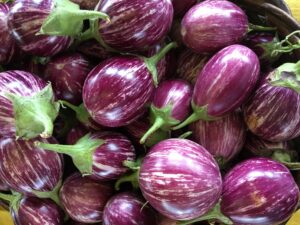Purple/white eggplant