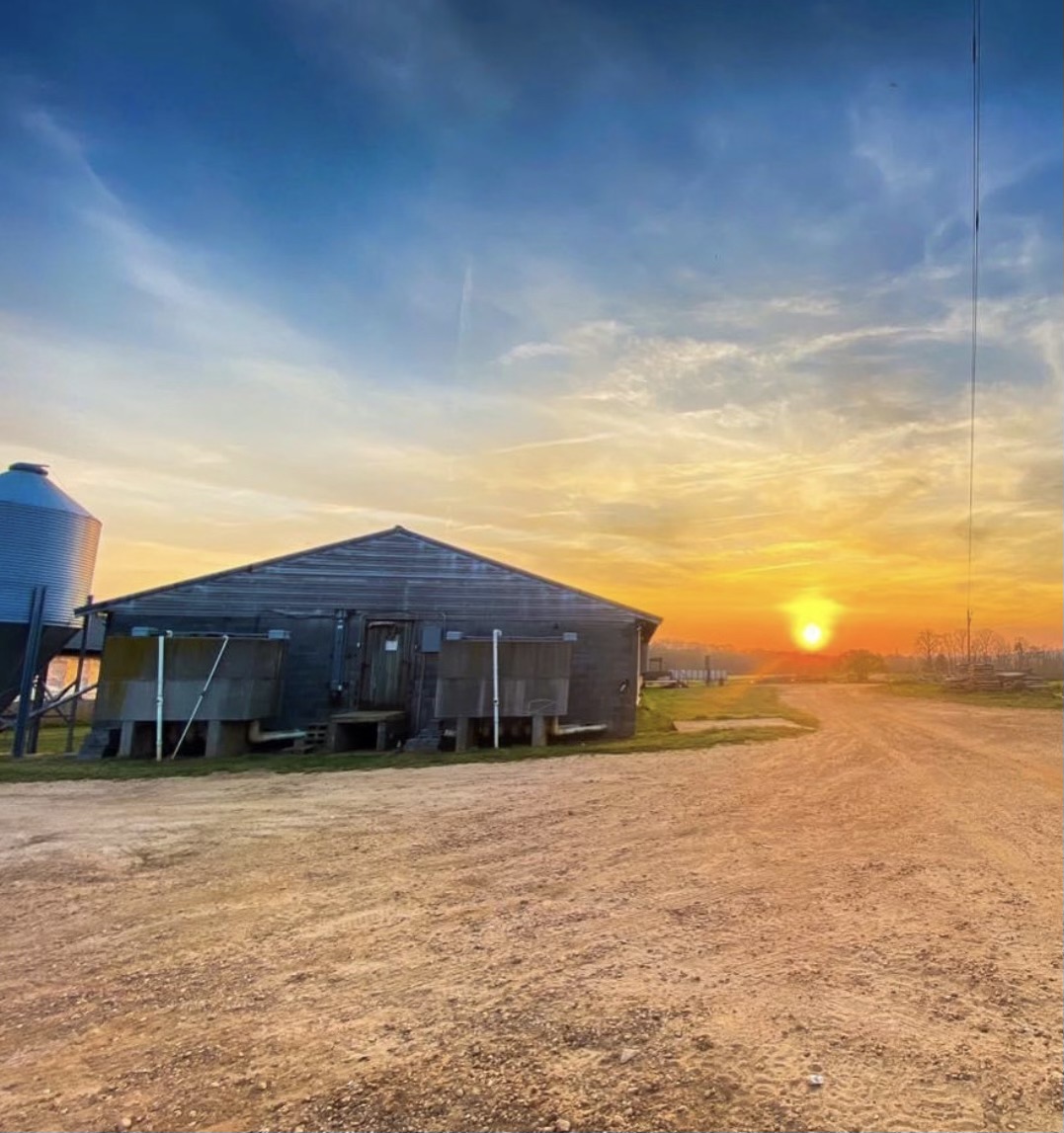 Sunset on a farm.