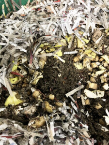 Worms with food scraps and shredded paper