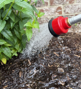 Watering